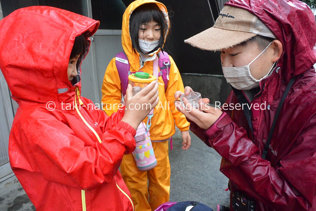 雨でも楽しむ方法
