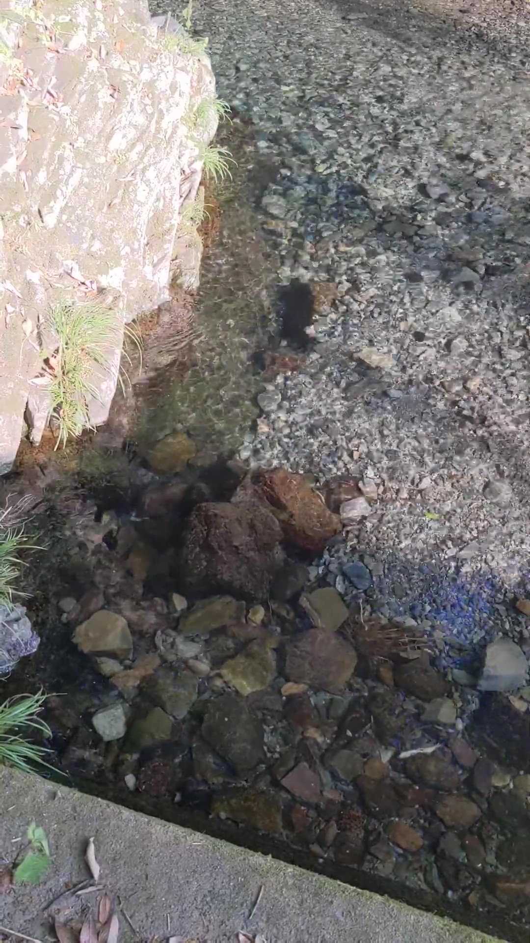 今日のフィールドの様子