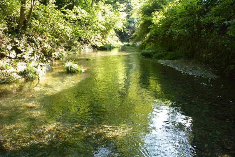 野外の活動の下見のポイントとは？