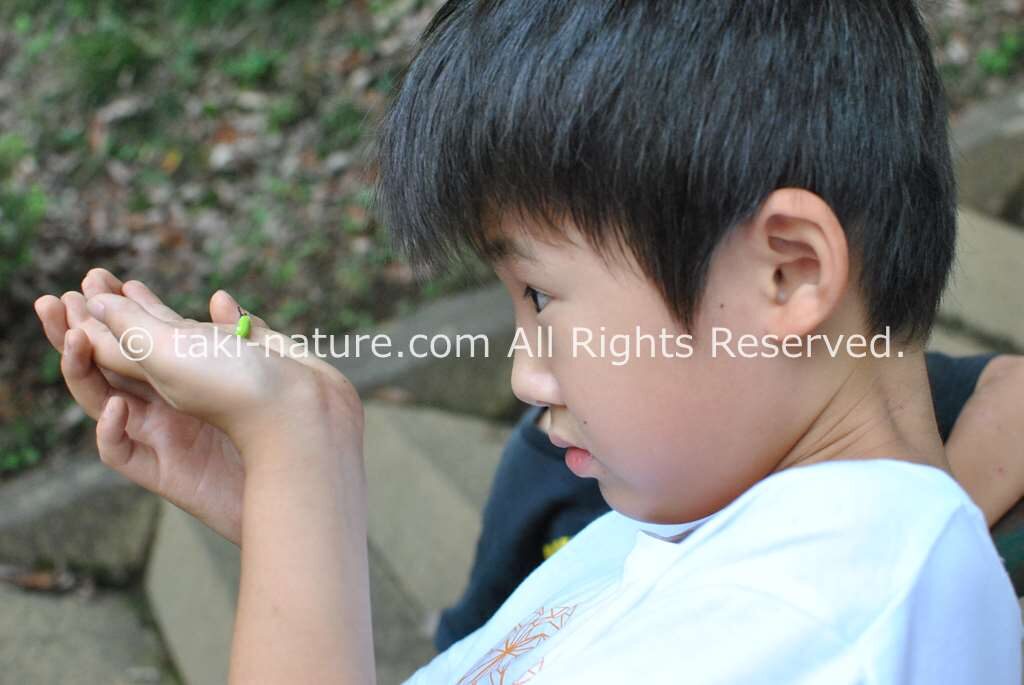 保育ドキュメンテーション実践講座