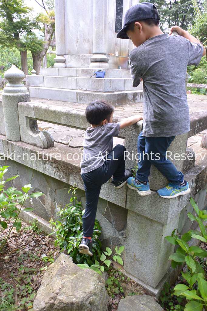 プログラム作りの要点