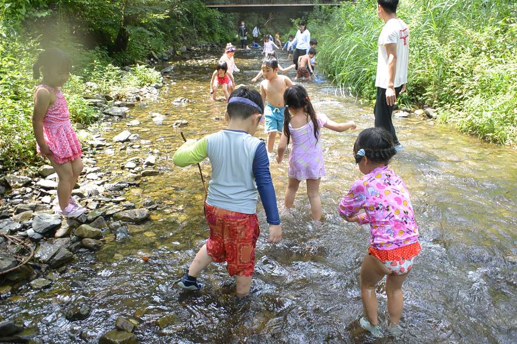 保育園の自然体験活動に
