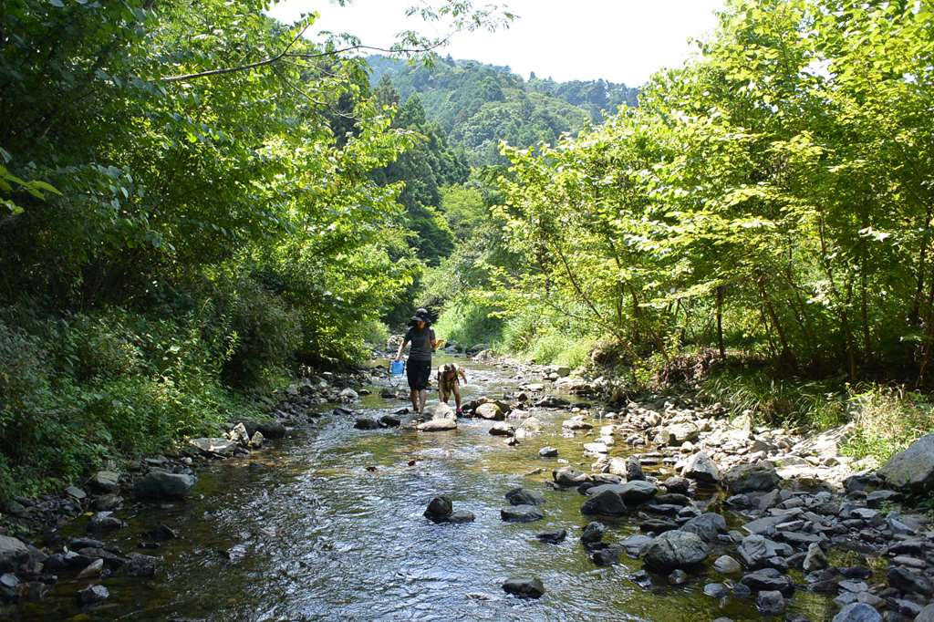 自然の中に一歩踏み出そう