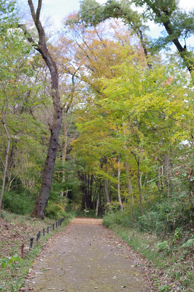 優良自然公園の紹介