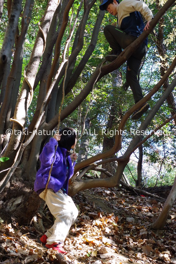 保育は終わり方が肝心