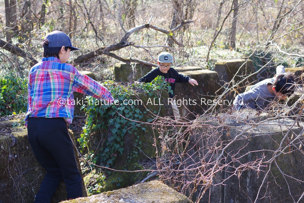 自由な遊びを通した保育を行うには