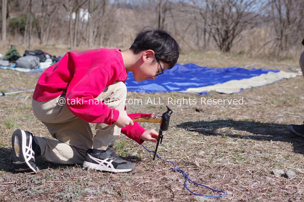 タープテントの張り方