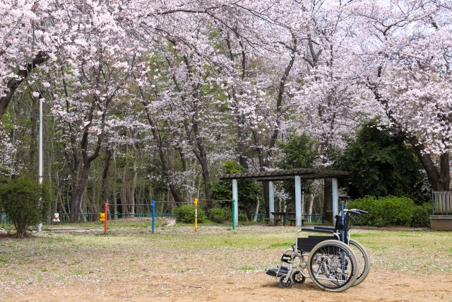 すべての子どもに自然体験を