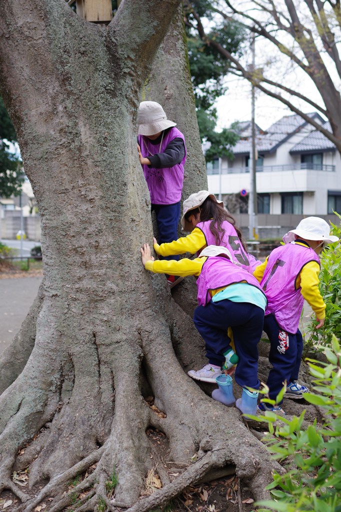 自然遊びガイド