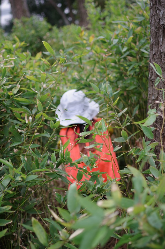 火の番の意味を知る