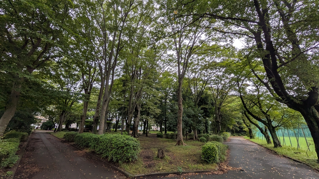 保護中: ことのは保育園〜玉南北野〜自然体験活動プログラム案