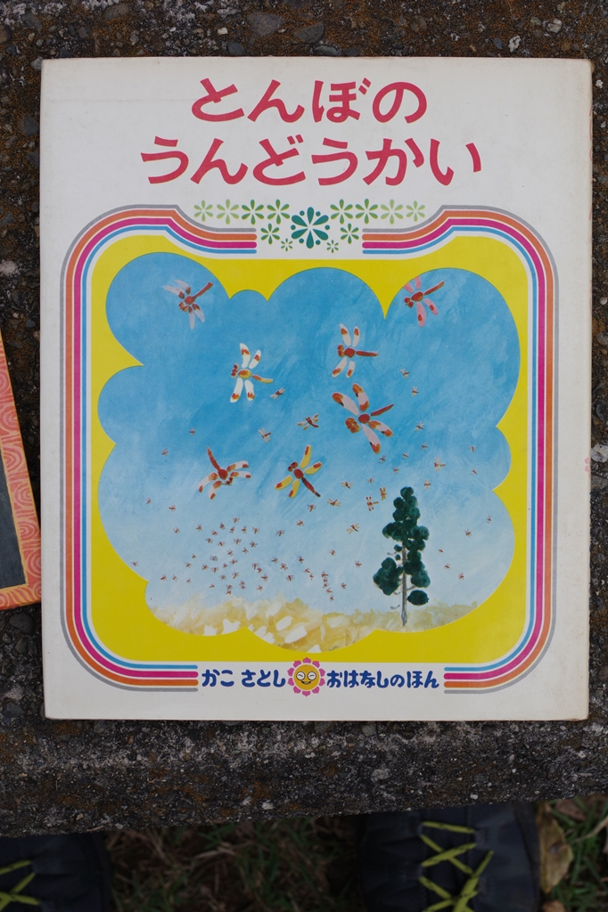 幼児の自然活動の始め方