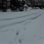 2月15日大雪警報