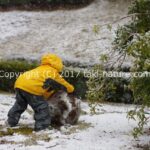 3月21日、雪の「森のようちえん」