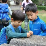子どもたちの深い学び