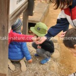 ごっこ遊びは最高の幼児教育プログラム