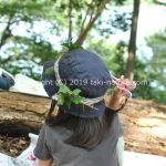 「まずは半分にしてみよう」